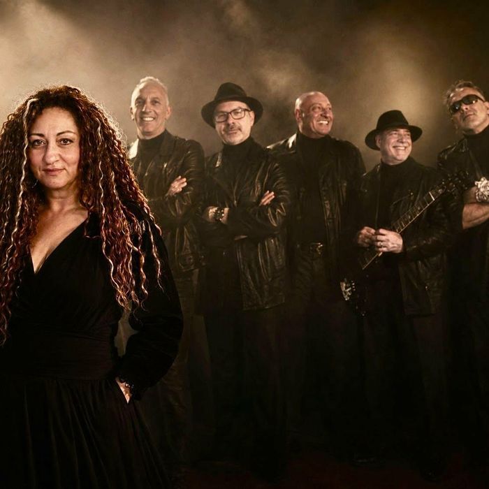 Evolution Coverband